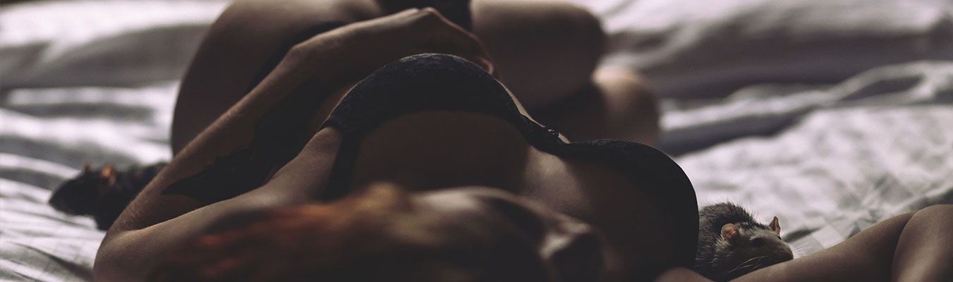 https://www.shaltlove.com/wp-content/uploads/2018/01/s2.jpg